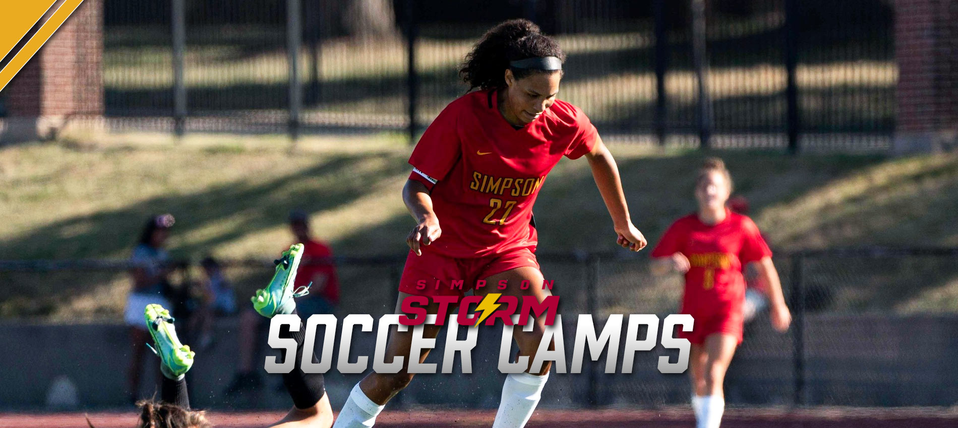 Simpson Soccer Slide 4